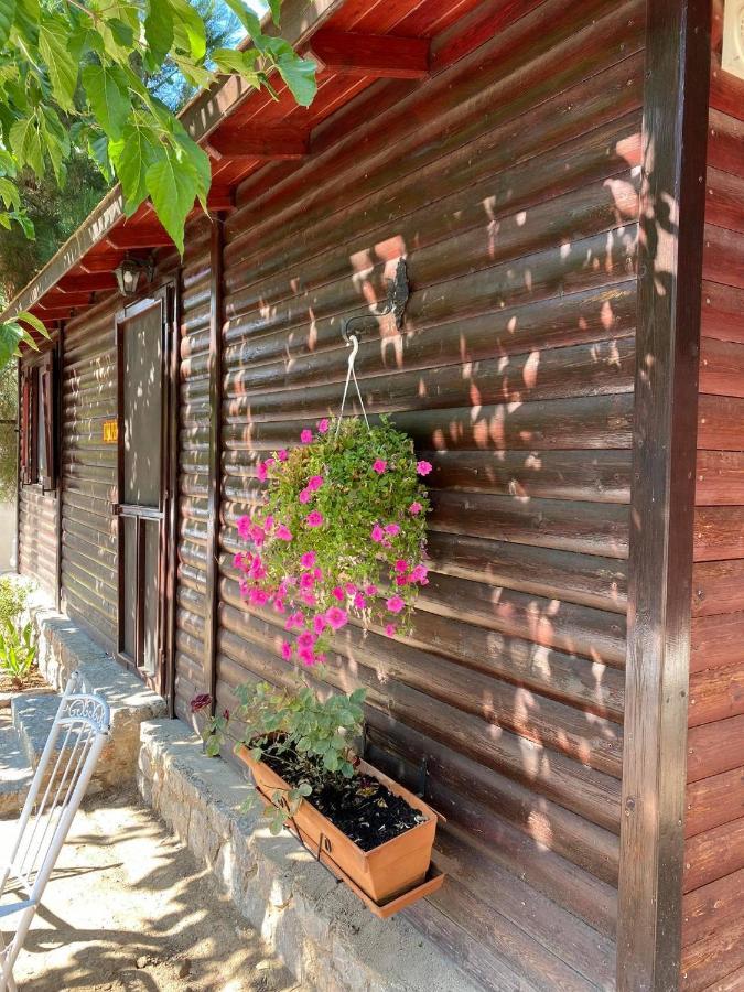 Hotel - Apollon Delphi