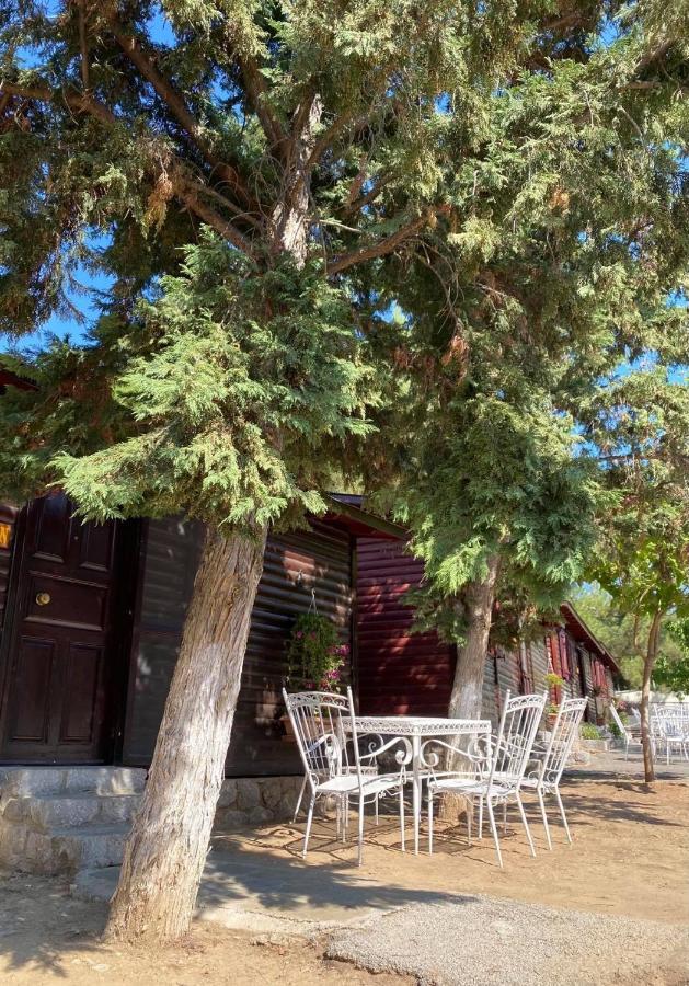 Hotel - Apollon Delphi